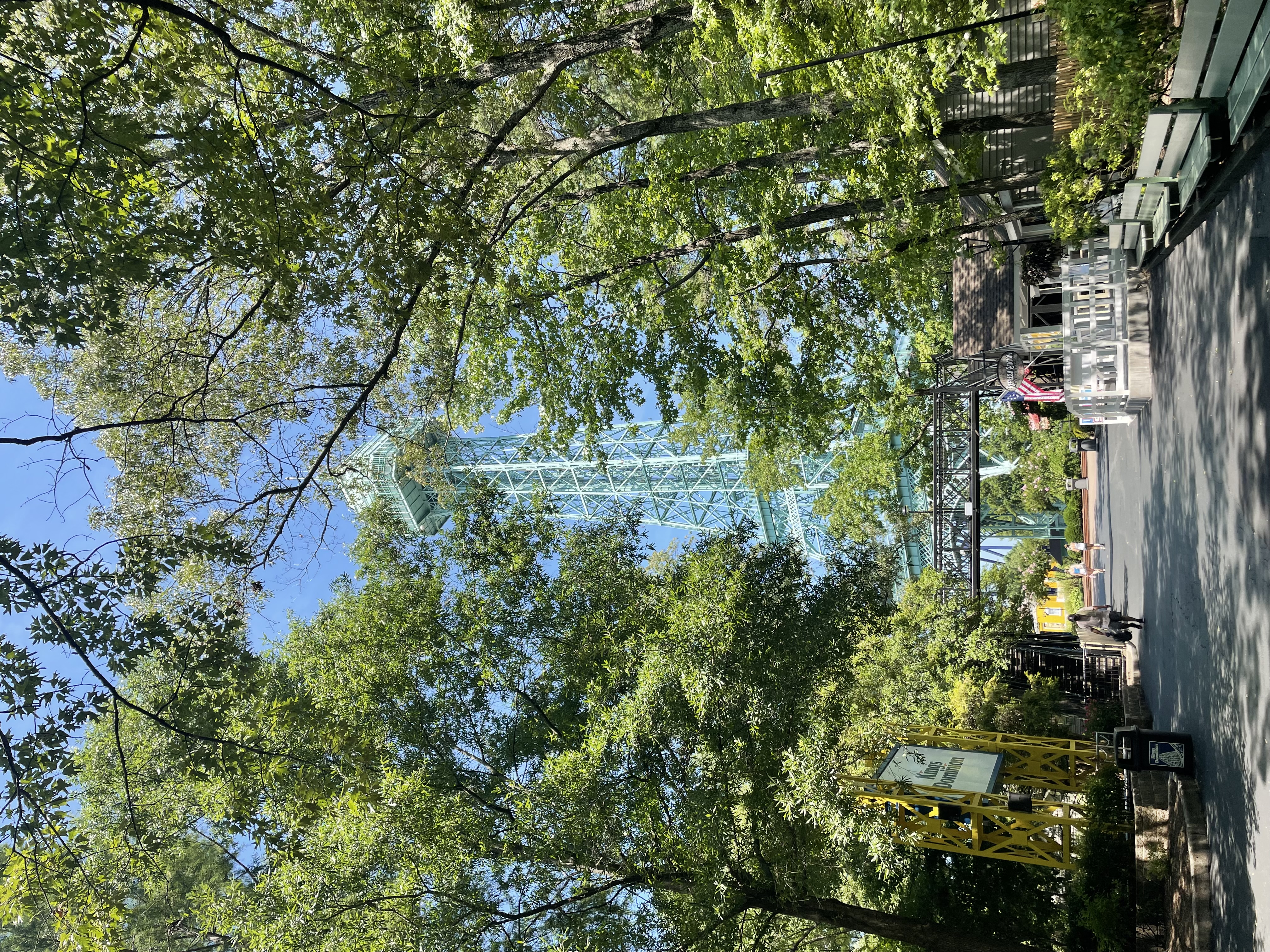 Eiffel Tower in the trees